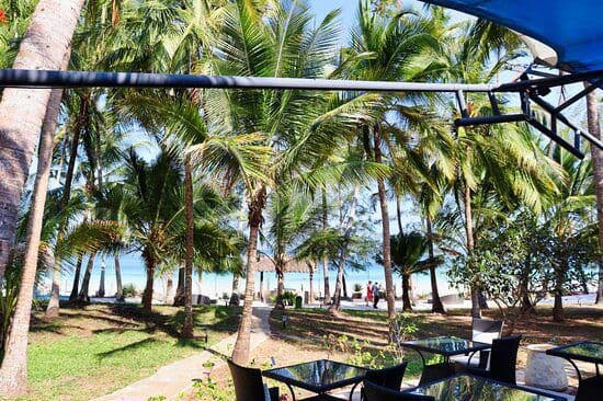 Beachfront restaurant with palm trees in Diani