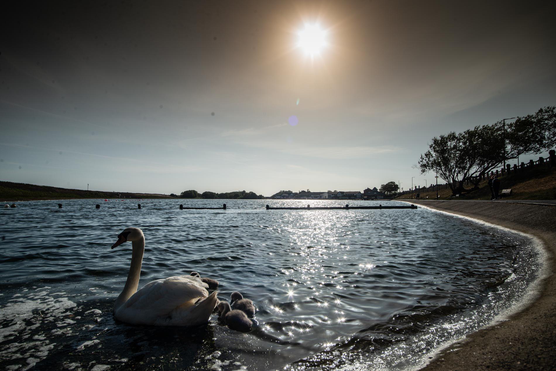 Coworking coliving gallery image