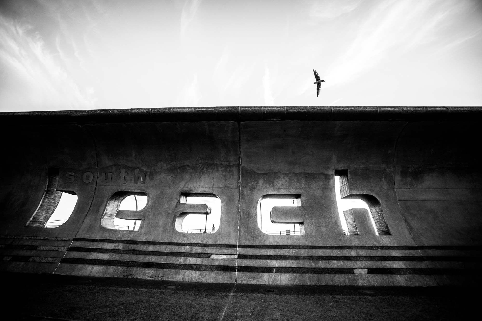 Black and white photo of the South Beach sign in Blackpool with a seagull flying overhead