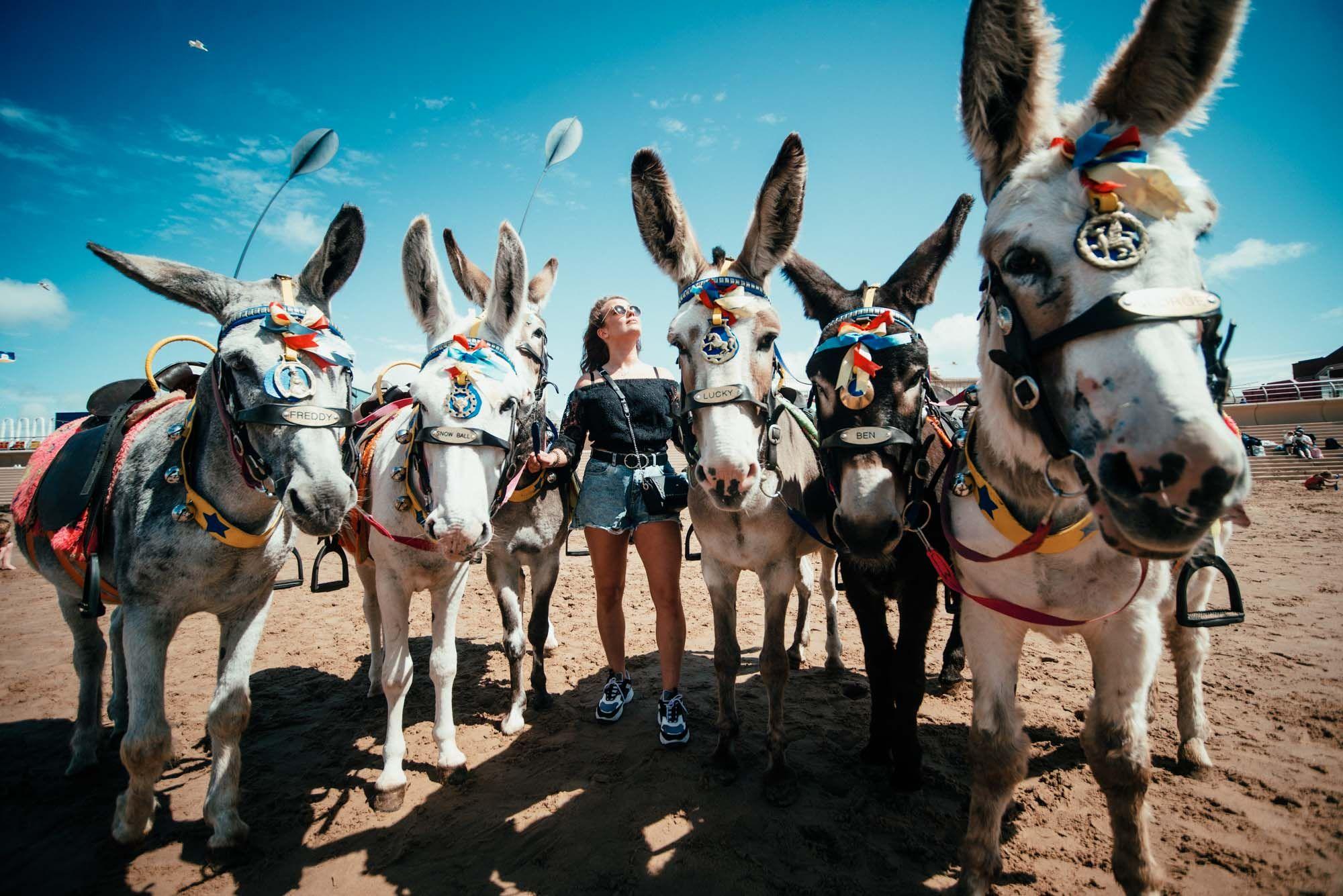 Siberian travel blogger Blackpool gallery image