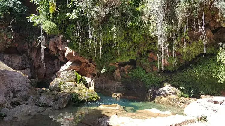 A pond with plants in Paradise Valley, day excursion from Taghazout