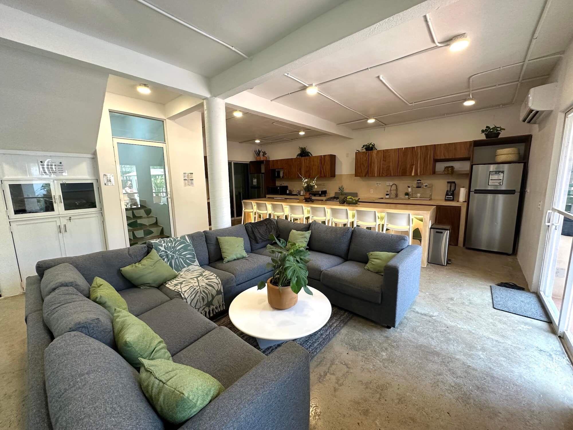 Shared living room with large grey sofas and open kitchen with bar seating in the background
