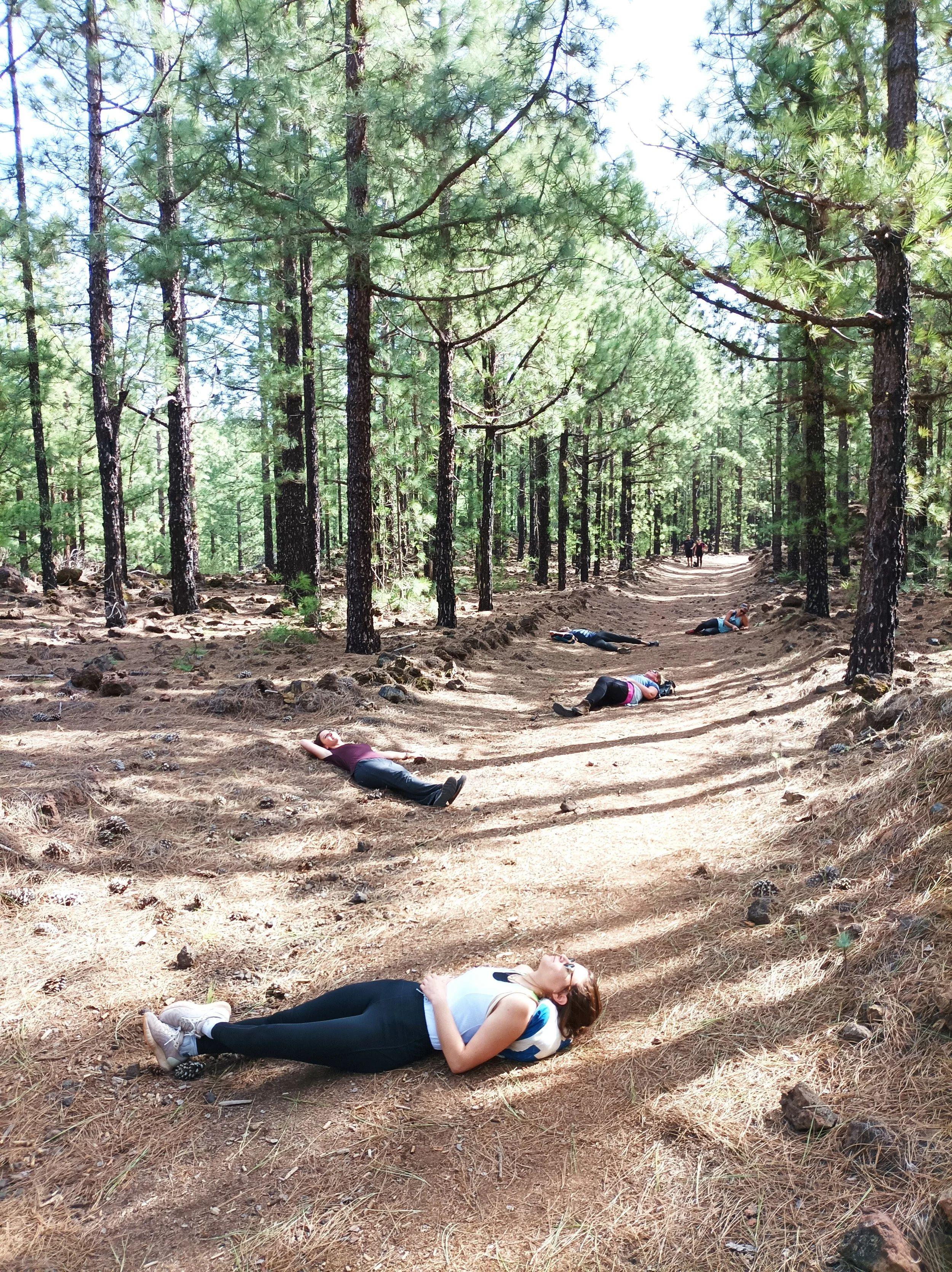 Hiking Trips