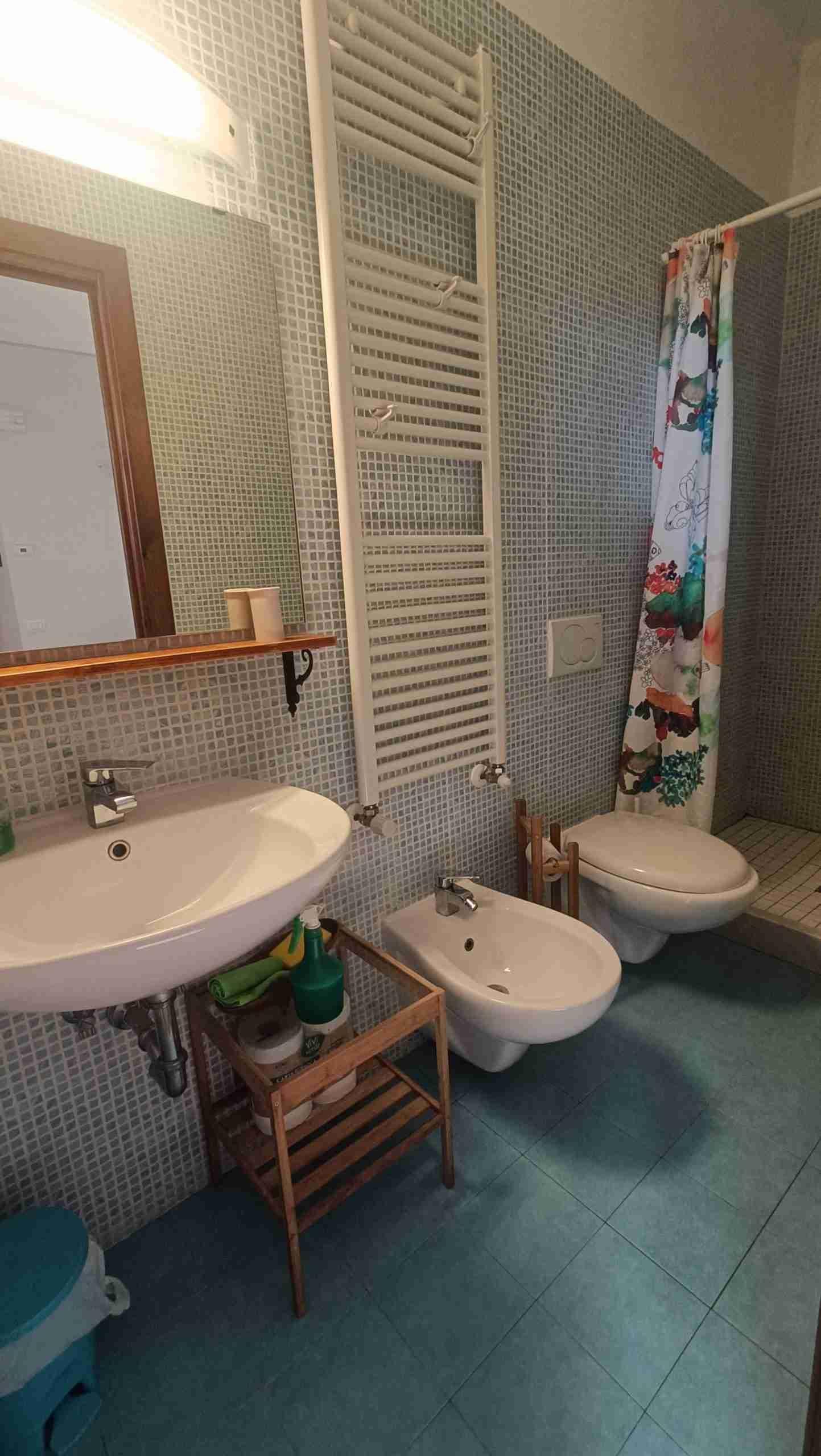 Room Rosa Canina bathroom