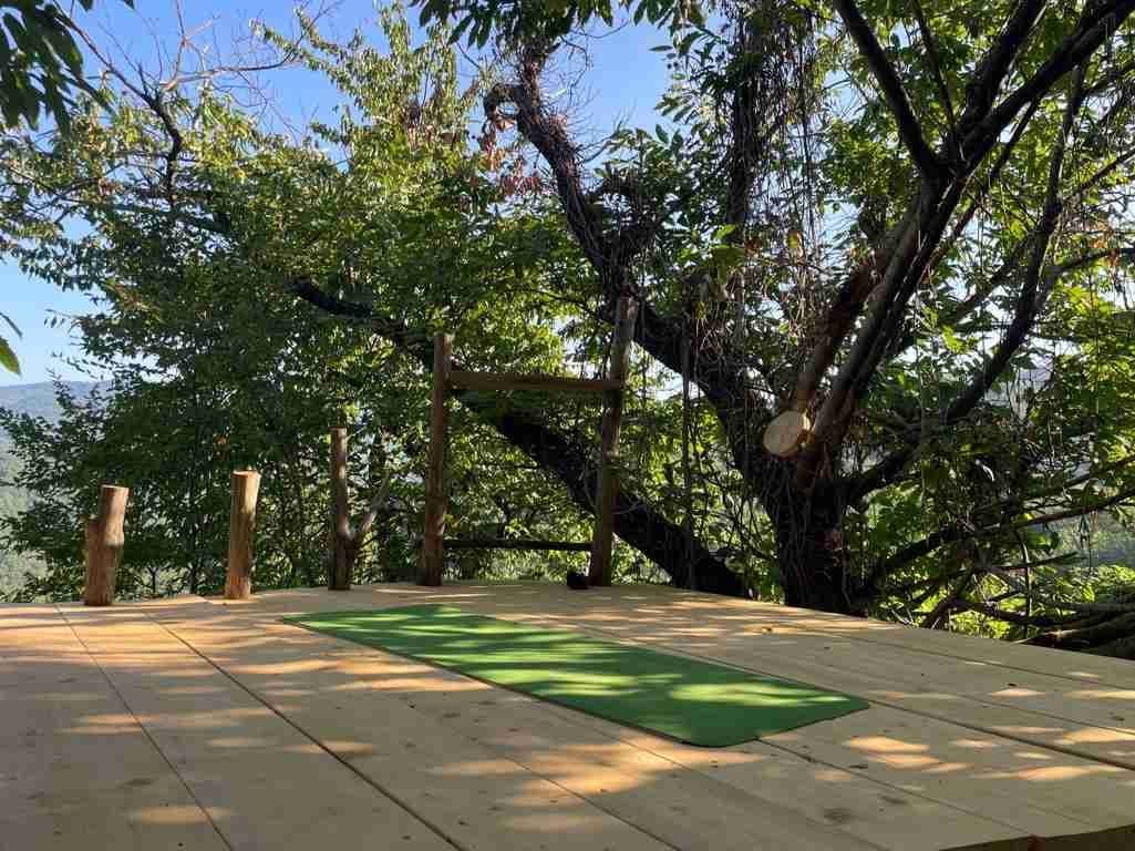 Terrace view