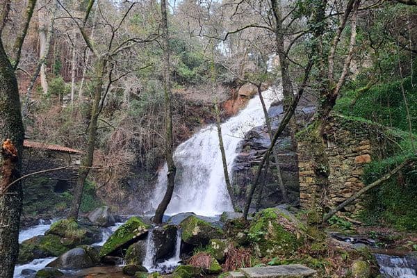 Cascata da Cabreia waterfall in Sever do Vouga, surrounded by dense green forest