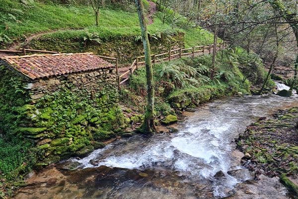 Nature trail near Cascata da Cabreia waterfall in Sever do Vouga