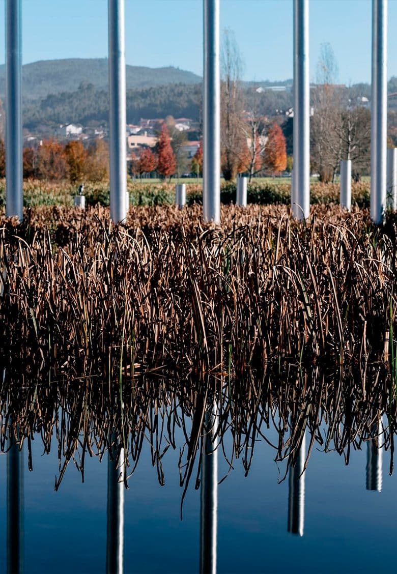 Vale de Cambra City Park, a 24-hectare green space along the Vigues River