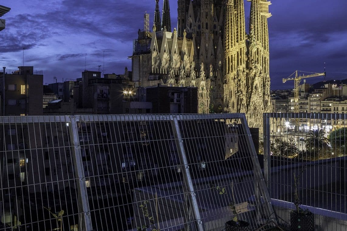 Coliving rooftop terrace