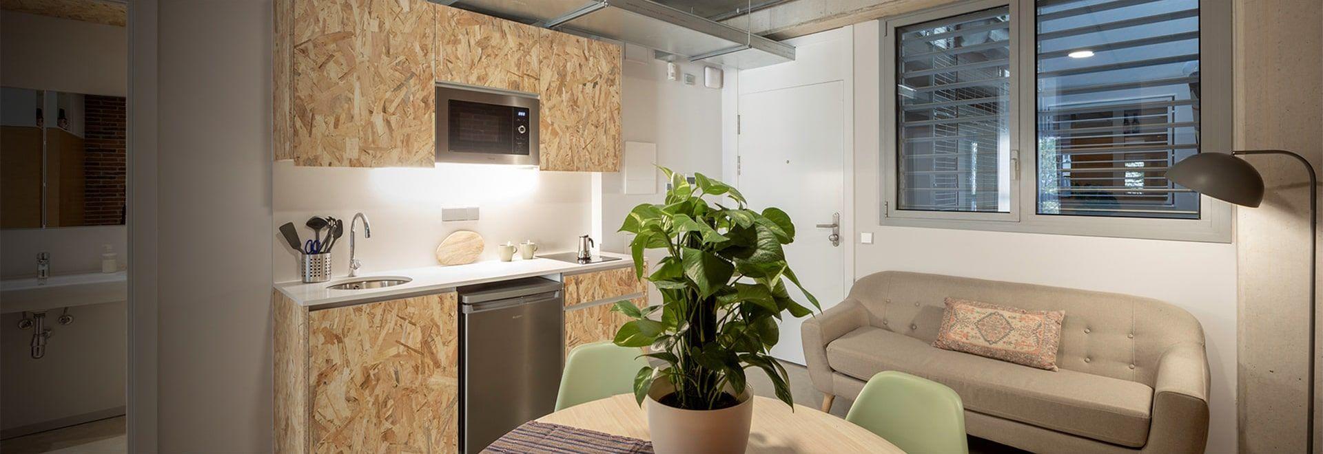 Coliving apartment interior showing kitchen and living area with sofa and dining table