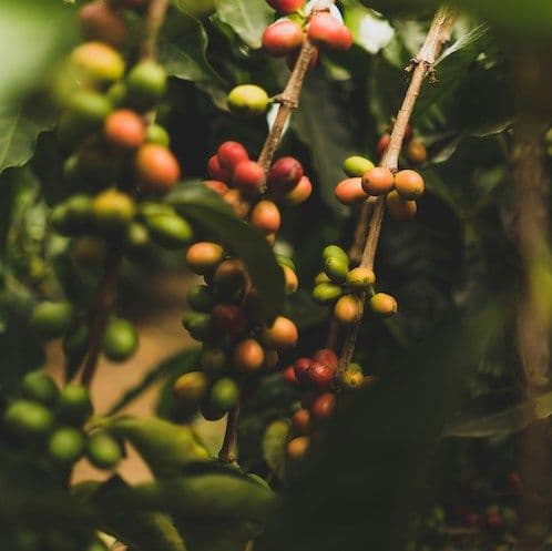 Scenic view in Nicaragua