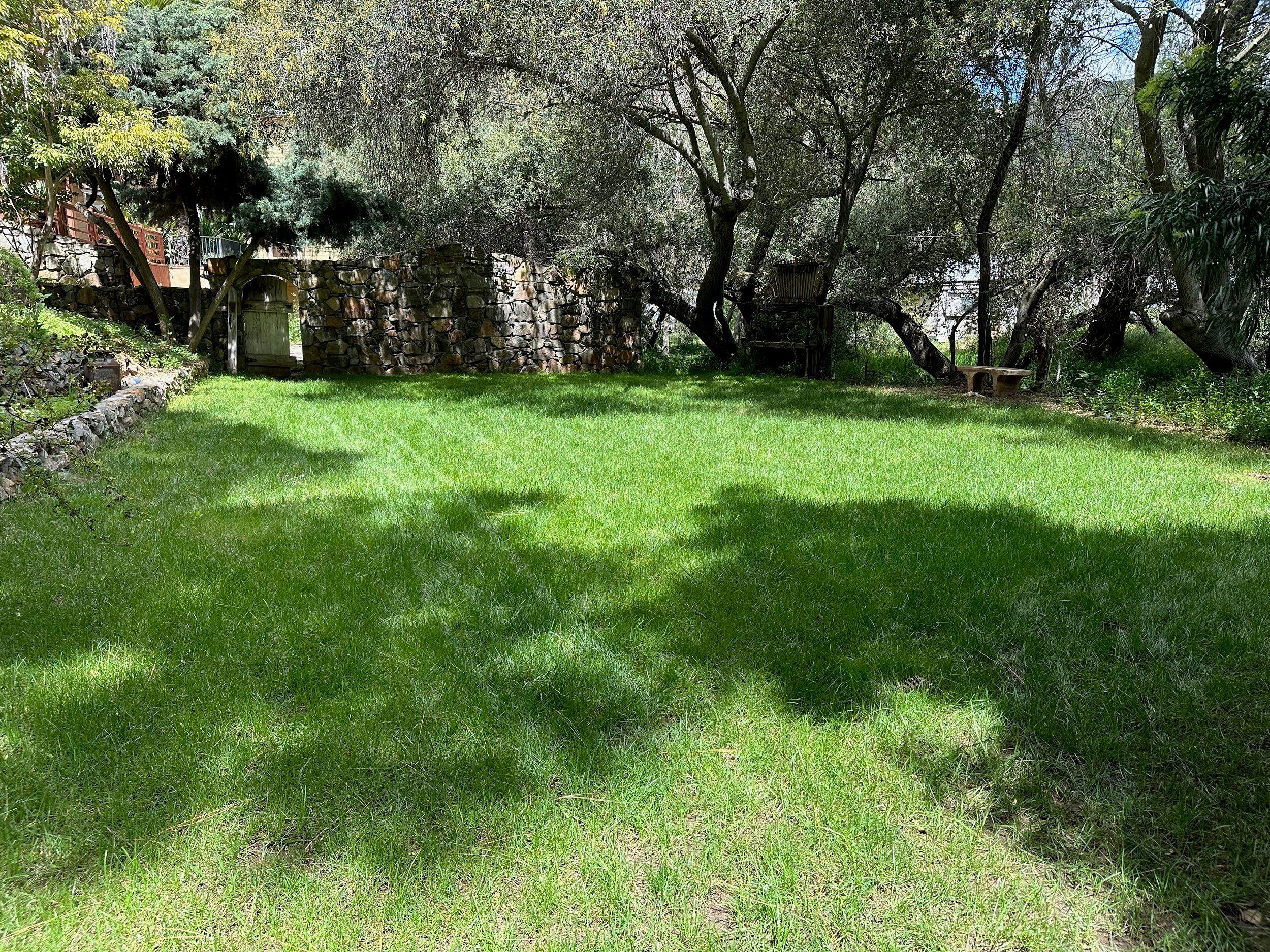Lawn for sunbathing, yoga, dance parties, sound baths, and more