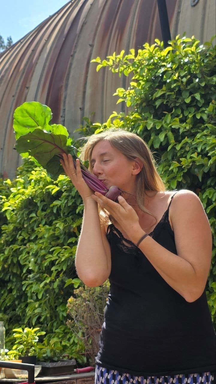 Edible Gardens - communal gardens and small vineyard
