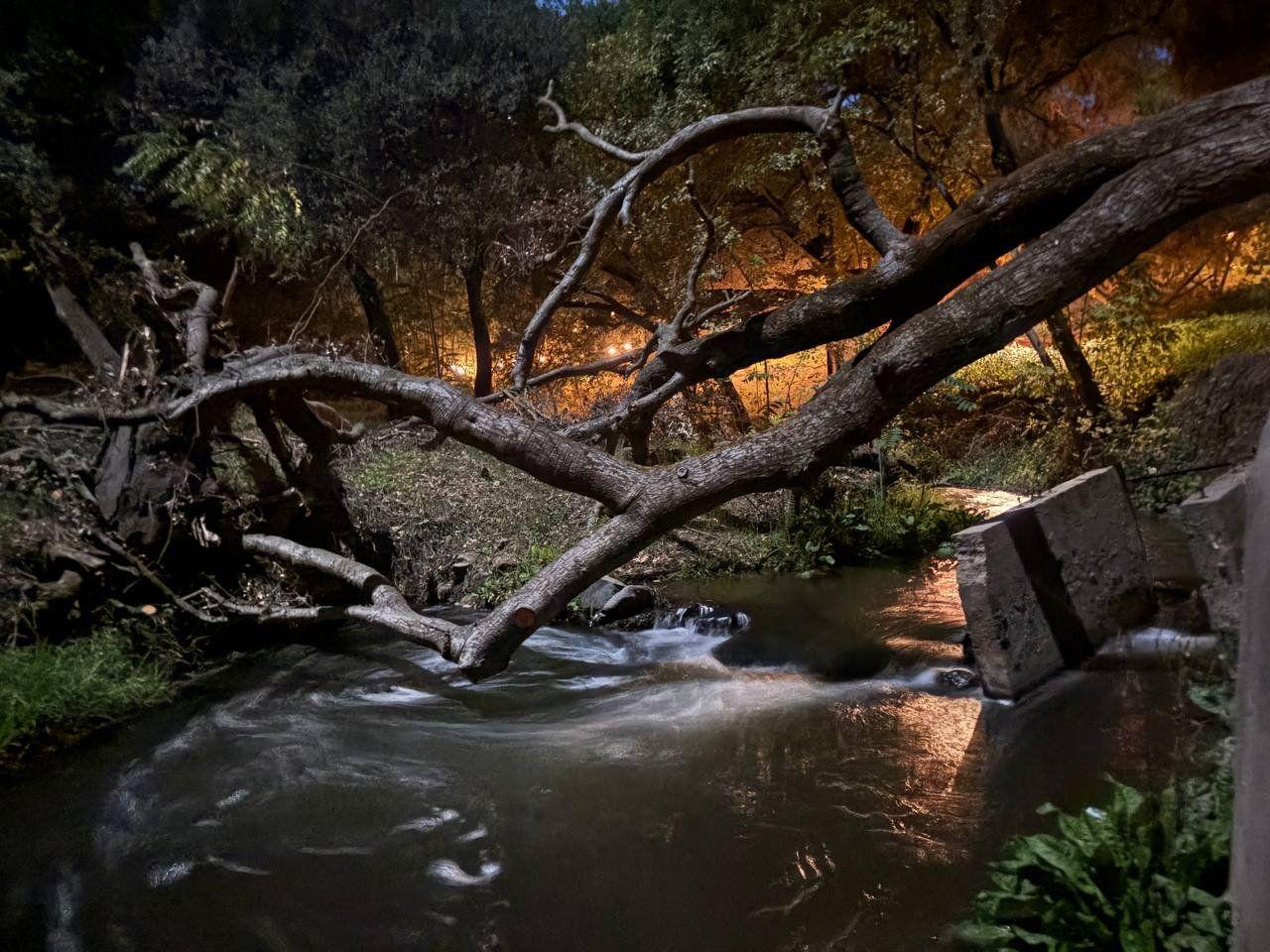 Creek Evening View