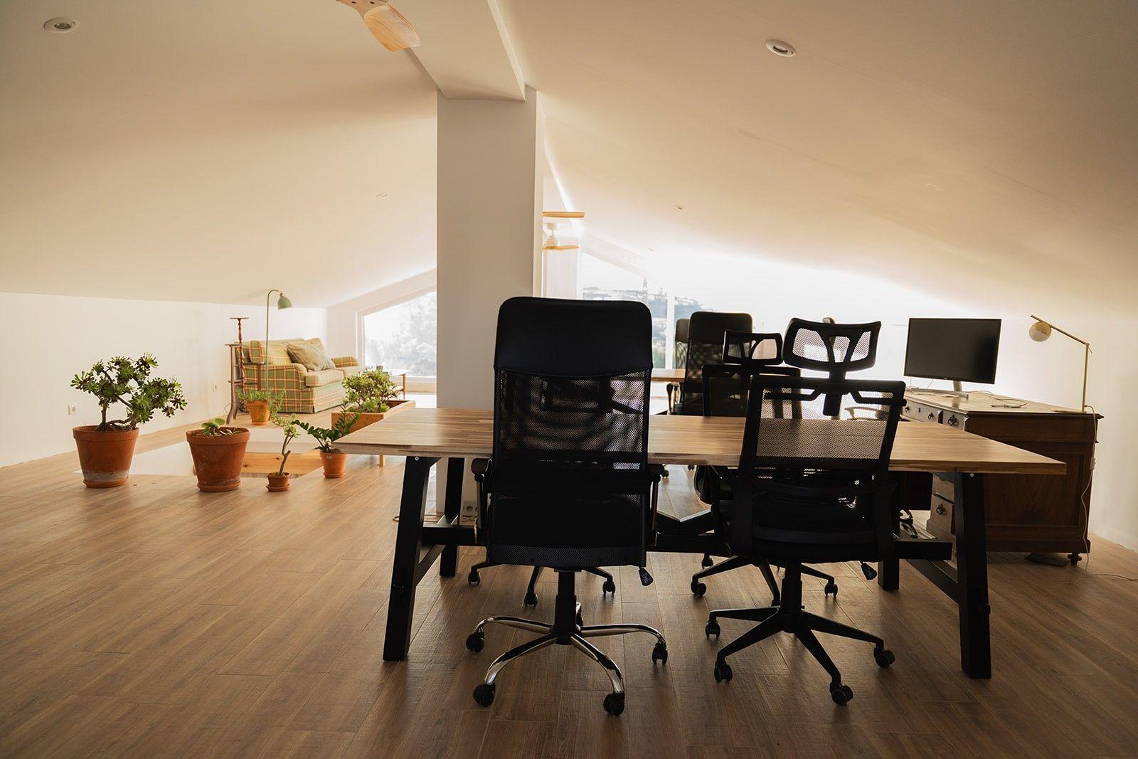 Spacious coworking room with ergonomic chairs, desks, plants and natural light